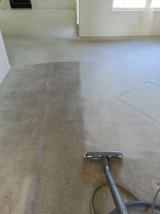 carpet-cleaning-process